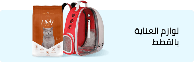 /pet-supplies/cats-16737?sort[by]=popularity&sort[dir]=desc&limit=50