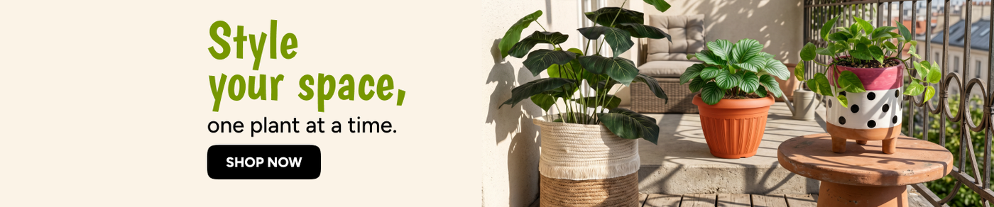 /home-and-kitchen/patio-lawn-and-garden/gardening-and-lawn-care/pots-planters-container-accessories/