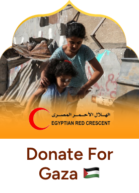 https://egyptianrc.org/en/donation