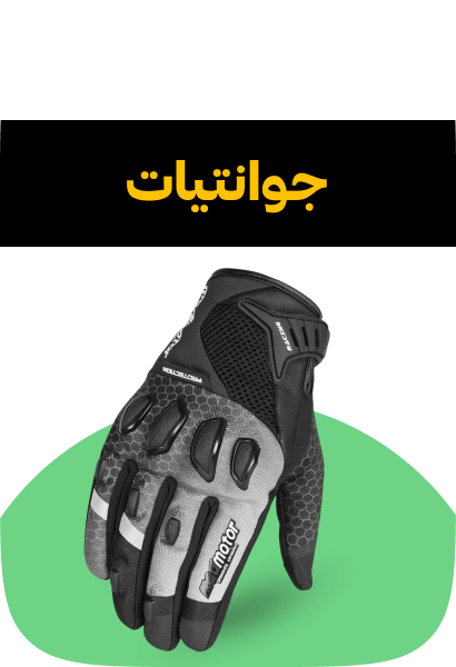 /automotive/motorcycle-and-powersports/protective-gear-16006/gloves-25057/