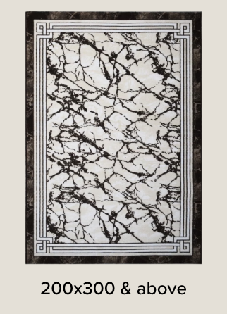 /home-and-kitchen/home-decor/area-rugs-and-pads/?f%5Bcarpet_rug_size%5D%5B%5D=200_300_cm_above&sort%5Bby%5D=popularity&sort%5Bdir%5D=desc&limit=50&page=1&isCarouselView=false