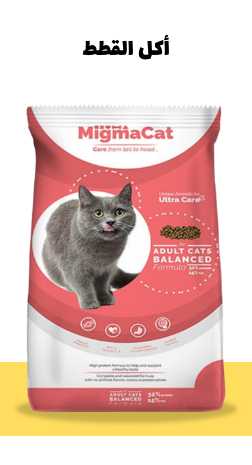 /pet-supplies/cats-16737/food-20631?sort[by]=new_arrivals&sort[dir]=desc&limit=50