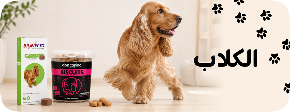 /pet-supplies/dogs-16275/
