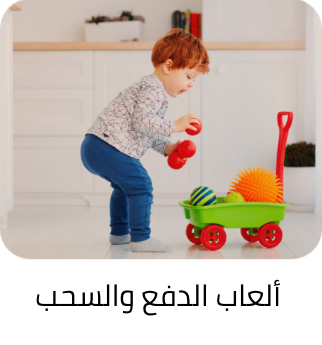 /toys-and-games/baby-and-toddler-toys/push-and-pull-toys-20494?sort[by]=popularity&sort[dir]=desc&limit=50