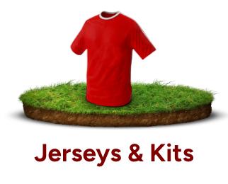 /fashion/men-31225/clothing-16204/active-16233/jerseys-16311?sort[by]=popularity&sort[dir]=desc&limit=50