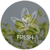 /eg-lld-fresh/?sort[by]=popularity&sort[dir]=desc&limit=50