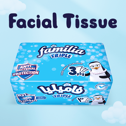 /grocery-store/home-care-and-cleaning/paper-plastic-wraps/facial-tissues/familia/?f%5Bpartner%5D%5B%5D=p_9503