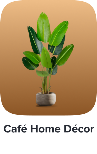 /home-and-kitchen/home-decor/artificial-flora/psts-cafe-at-home-ae/