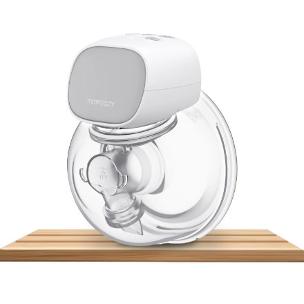 /baby-products/momcozy/?f%5Bfulfillment%5D%5B%5D=rocket