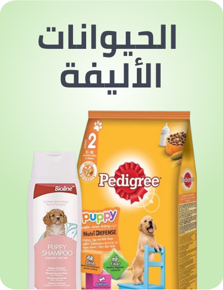 /pets-rocket/?sort[by]=popularity&sort[dir]=desc&limit=50