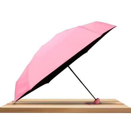 /curated-umbrella-ae/?f[fulfillment][]=rocket