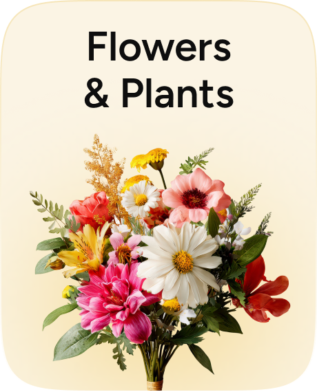 /all-flowers-and-plants-supermall