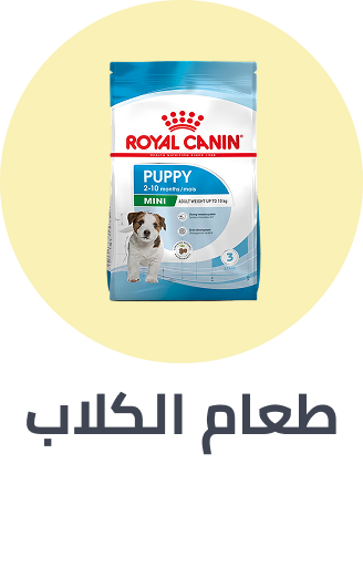noon://www.rocket.com/uae-en/pet-supplies/dogs-16275/food-16695/pets-rocket/?sort%5Bby%5D=popularity&sort%5Bdir%5D=desc&limit=50