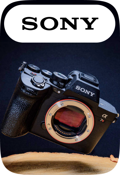 /electronics-and-mobiles/camera-and-photo-16165/sony/?f[fulfillment][]=rocket&sort[by]=popularity&sort[dir]=desc&limit=50&page=1&isCarouselView=false