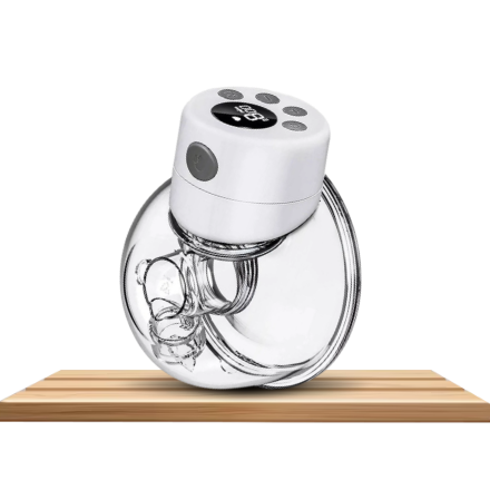 /baby-products/feeding-16153/breastfeeding/breast-pumps/?f[fulfillment][]=rocket