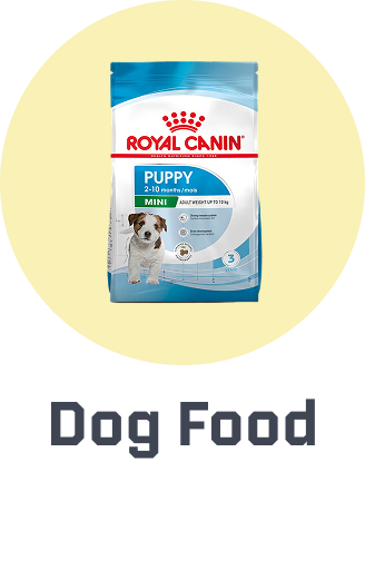 noon://www.rocket.com/uae-en/pet-supplies/dogs-16275/food-16695/pets-rocket/?sort%5Bby%5D=popularity&sort%5Bdir%5D=desc&limit=50