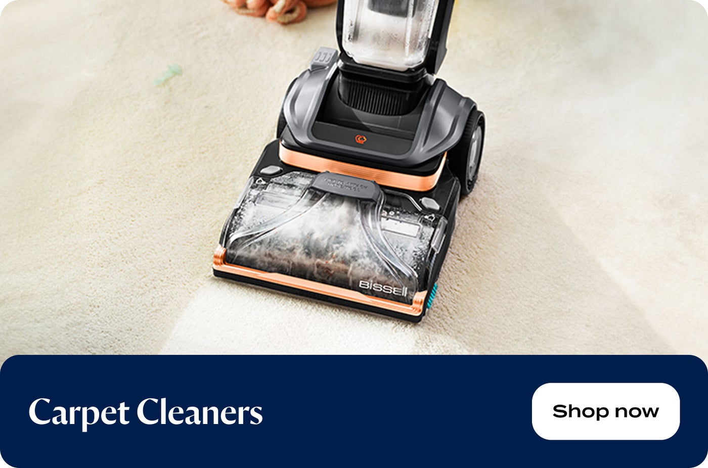 /~bissell/st-ST5X98-Carpet