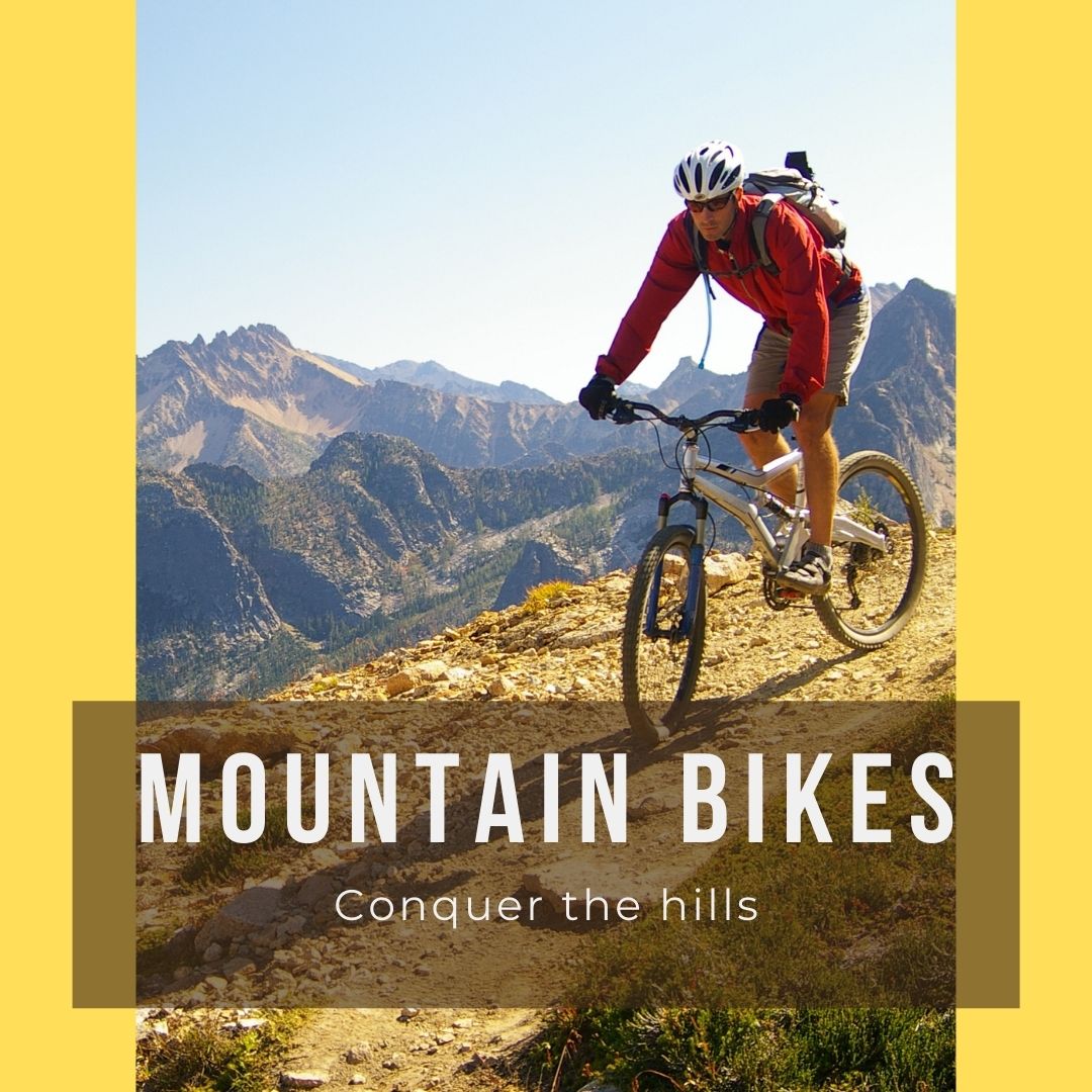 /~bikes/sports-and-outdoors/cycling-16009/bikes