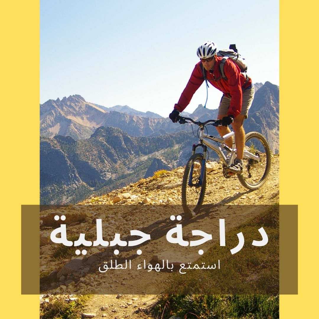 /~bikes/sports-and-outdoors/cycling-16009/bikes