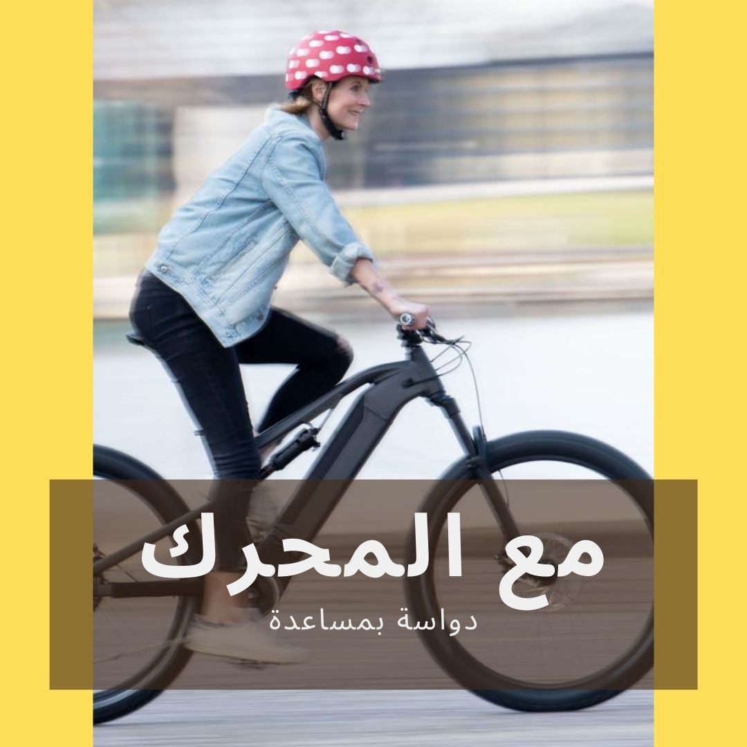 /~bikes/sports-and-outdoors/cycling-16009/bikes