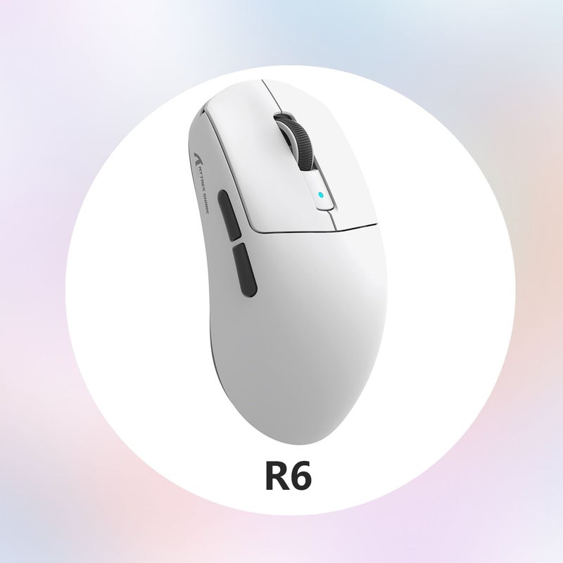 /~attack_shark/Z8C3CDA189E8D4B1FED1BZ/p