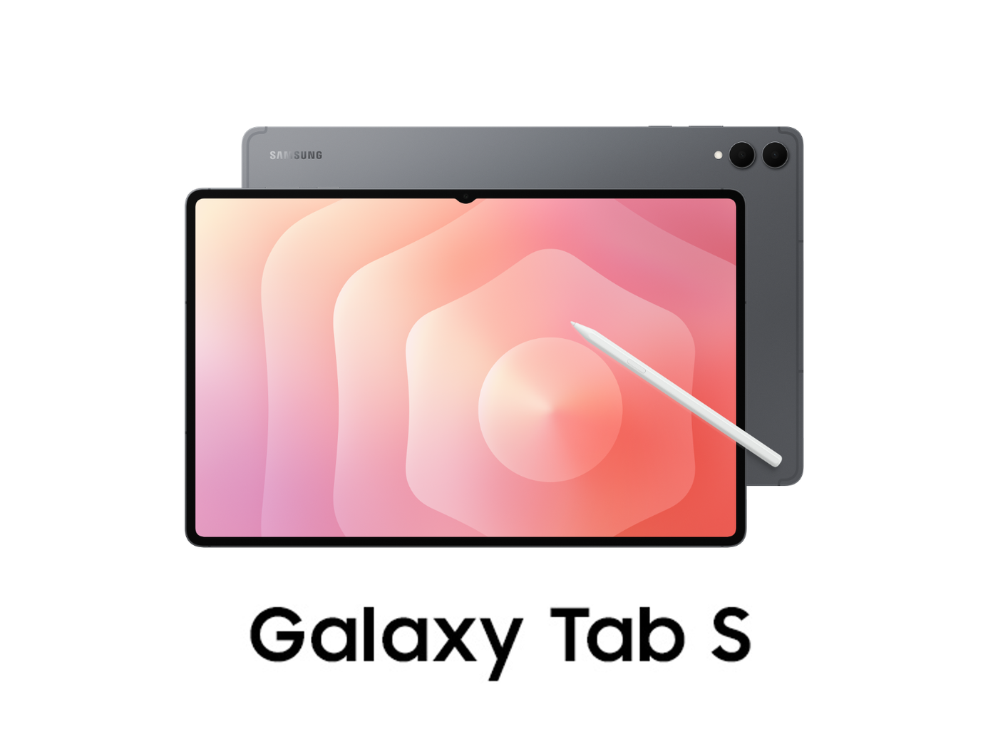 /store/STD2DU/CPSMLKUD4KGM/g