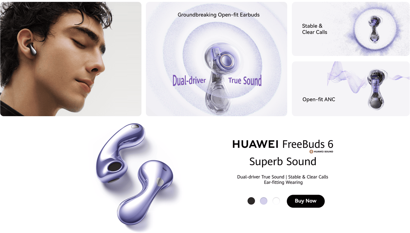 /~huawei/N70170051V/p