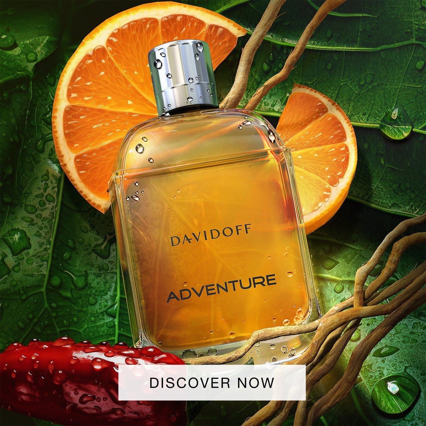 /~davidoff/N11201240A/p