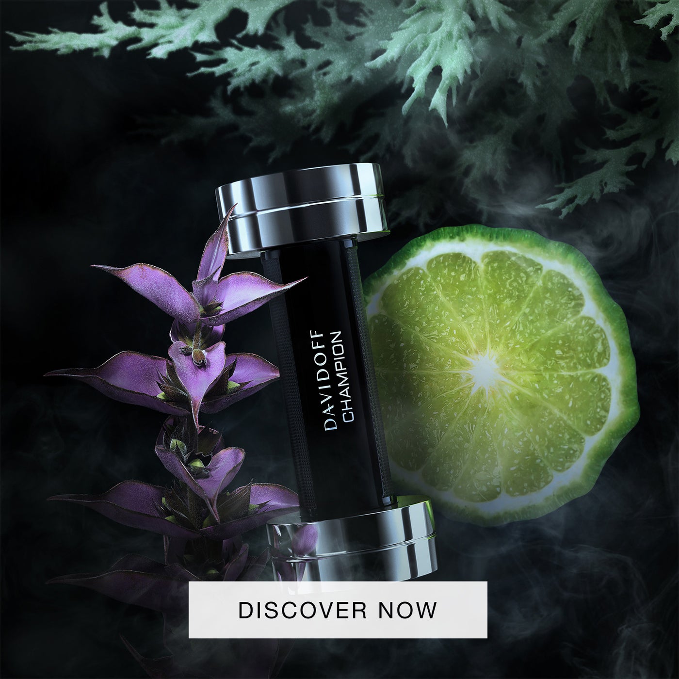 /~davidoff/N18915463A/p