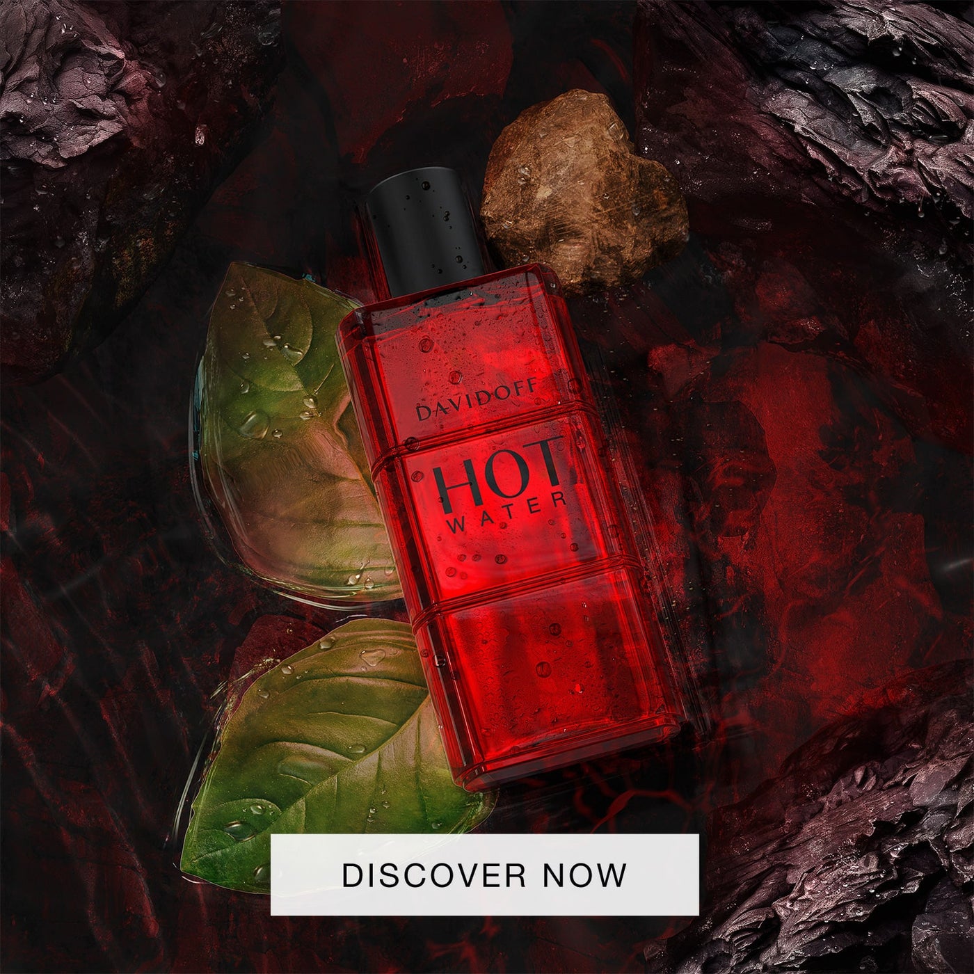 /~davidoff/N11200648A/p