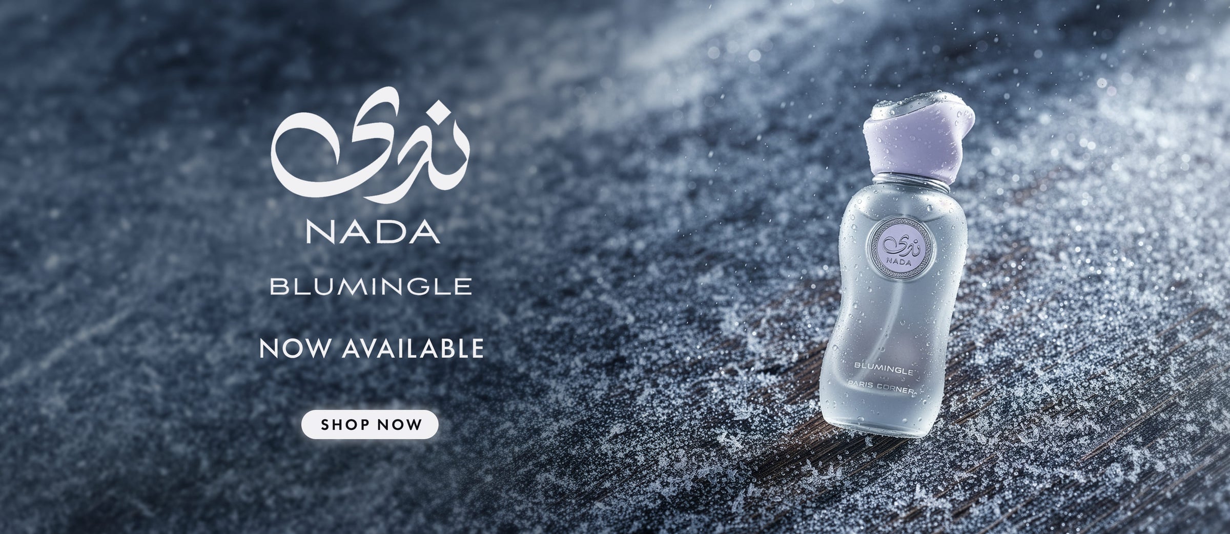 /~pariscorner/Z6856C1E1F8155192F05DZ/p