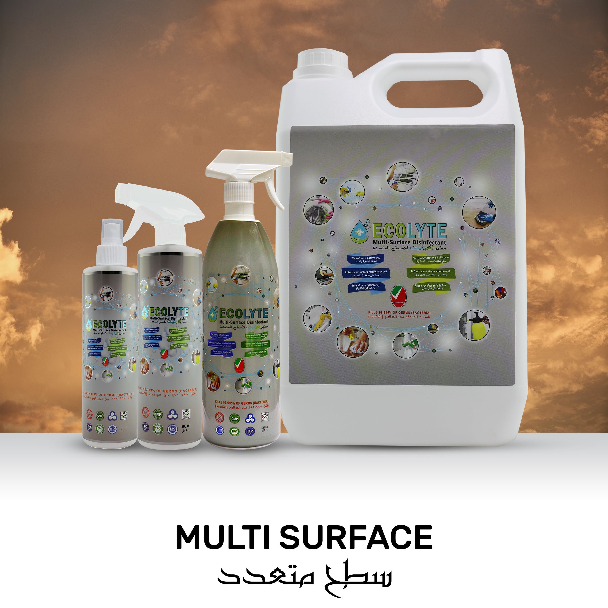 /~ecolyteplus/ecolyte-multi-surface-disinfectant-spray-1-liter/ZD3999203F5641F8B1DD5Z/p