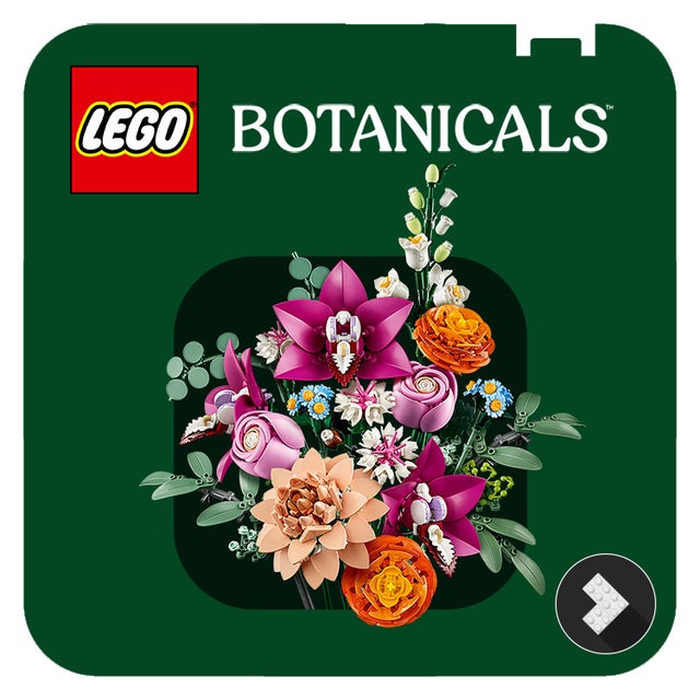 /~lego/lego?f[lego_collection][]=lego_botanicals&f[partner][]=p_9404