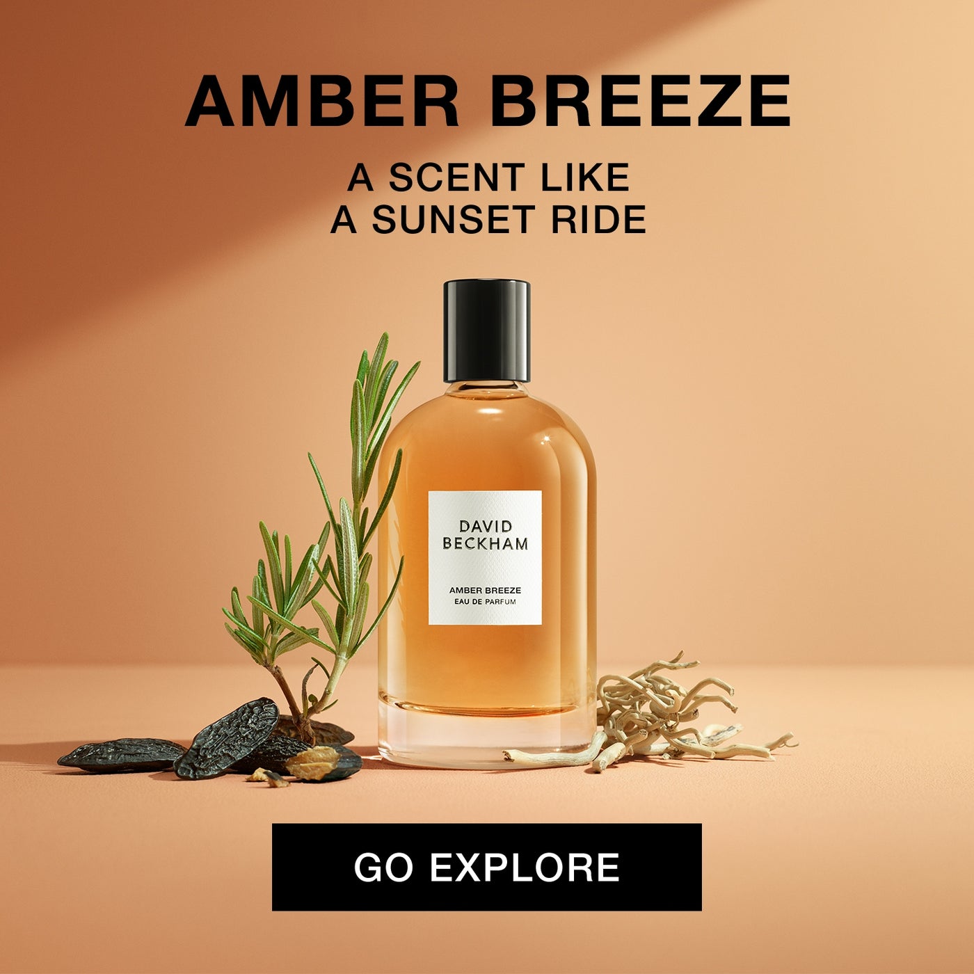 /~davidbeckham/Z25A2DD4E1EC106558599Z/p