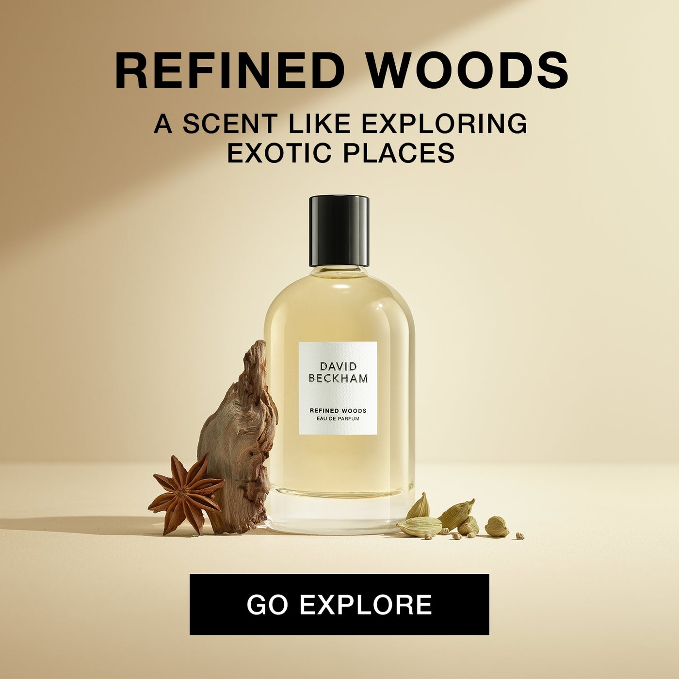 /~davidbeckham/ZFF58ACA996CF4259DCF9Z/p