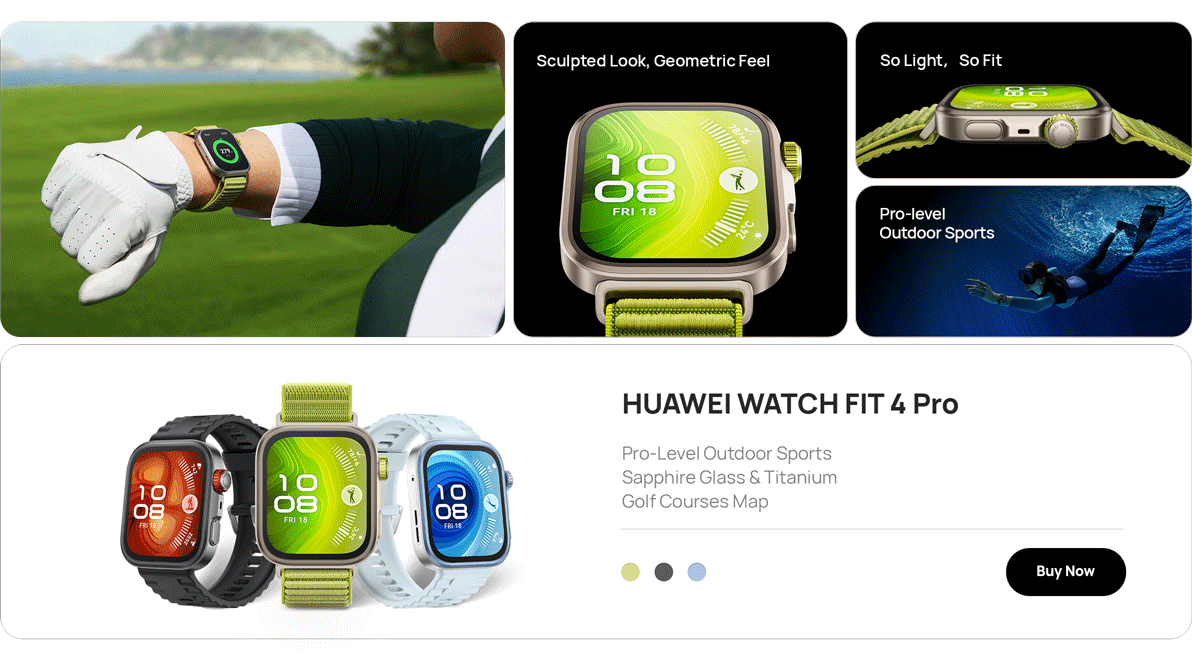 /~huawei/N70172427V/p