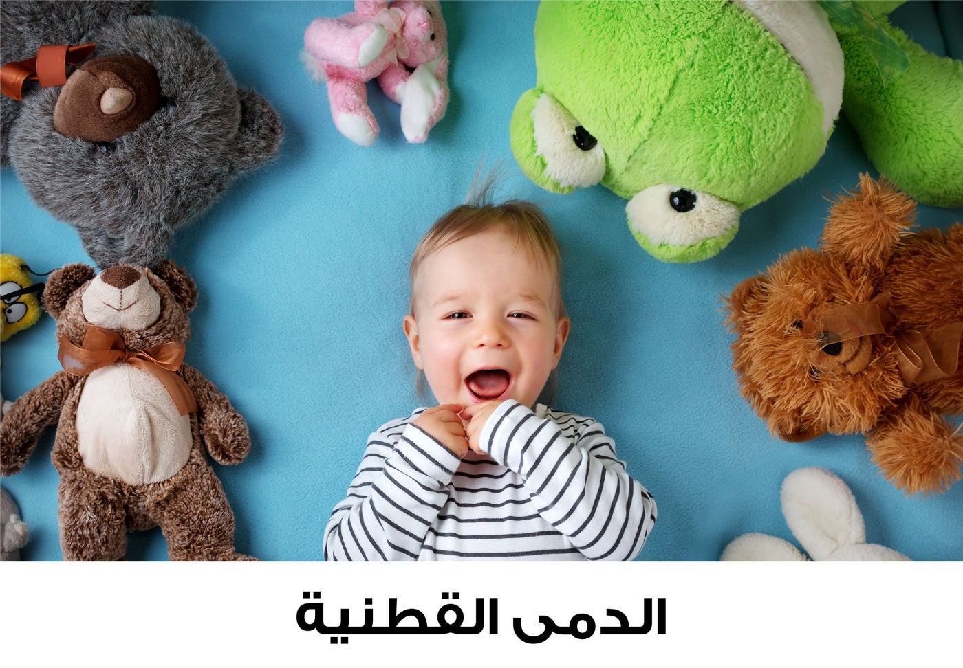 /~toysrus/toys-and-games/stuffed-animals-and-plush