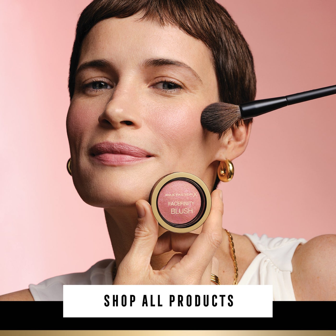 /~maxfactor/N11034022A/p