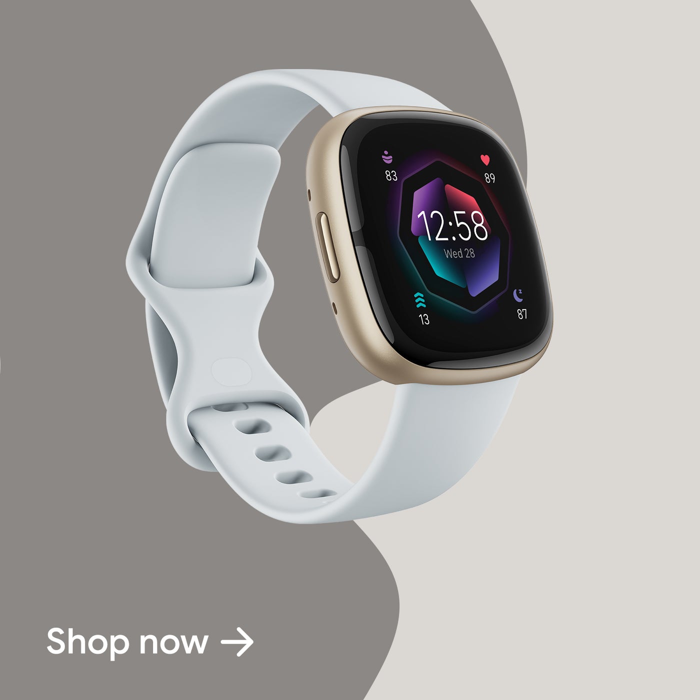 /~fitbit/search?q=sense 2