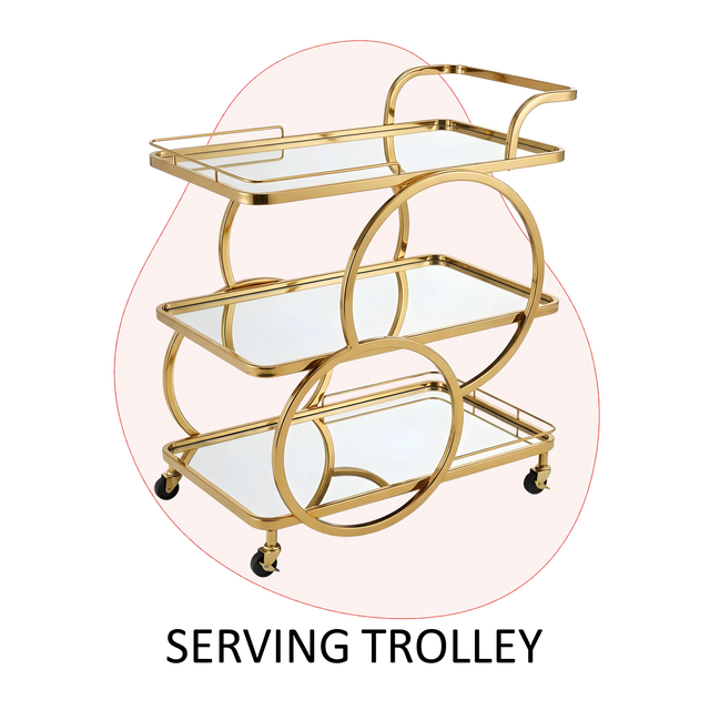 /~lifeesmile/st-STY6J5-TROLLEY