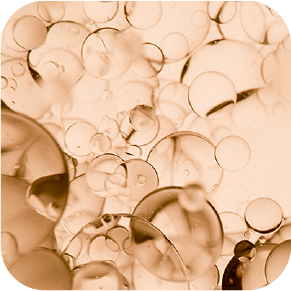 /~vichy/all-products?label[LB5R53S4U]=1