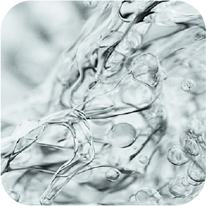 /~vichy/all-products?label[LBC1SUPOX]=1