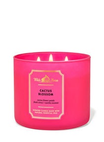 Cactus Blossom 3-Wick Candle 