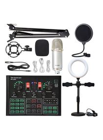 Wireless Karaoke Microphone Professional Condenser with Tripod Sound Card V9XPRO for Live Streaming studio equipment prices 