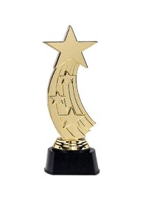 Party Shooting Star Award 