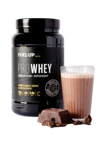 PROWHEY - Grass Fed and Hormone Free Whey Protein - 26g of protein per serving - Chocolate Delight - 2lb 