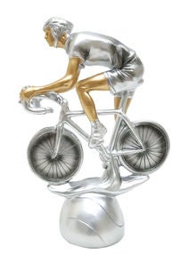 Cycling Trophy Silver/Gold 20cm 