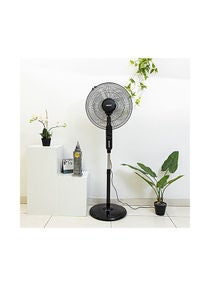 Stand Fan 3 Speed 5 Leaf blade Horizontal oscillation Adjustable height and tilt setting Built in timer 60 W GF9488N Multicolour 