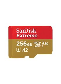 Extreme microSDXC UHS-I Card 256 GB 