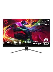 27 Inch Fhd 165Hz 1Ms Flat Ips Gaming Monitor Hdmi 2.1 Console Compatible Black 